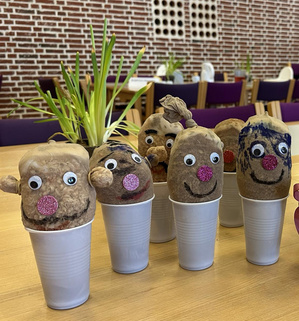 Håndarbejde af jordfyldte strømper med ansigter i kopper.